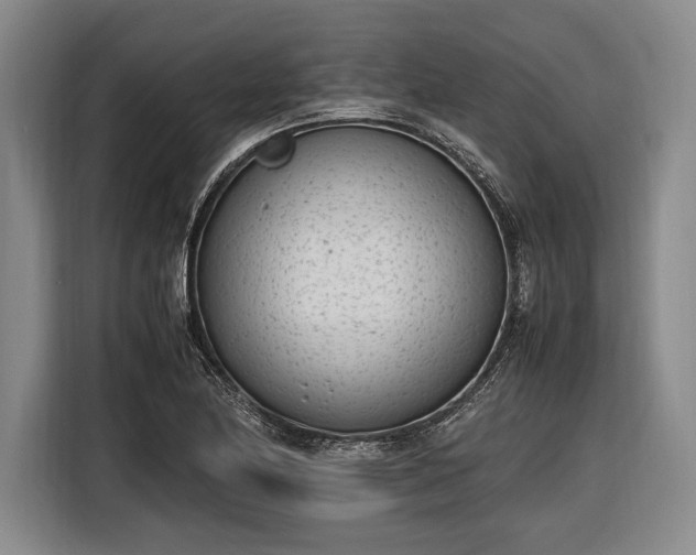 X0000116601174200912181140