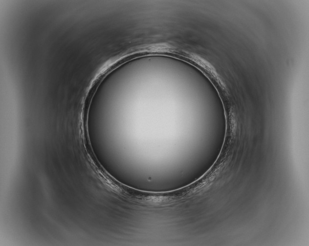 X0000116601176200912181140