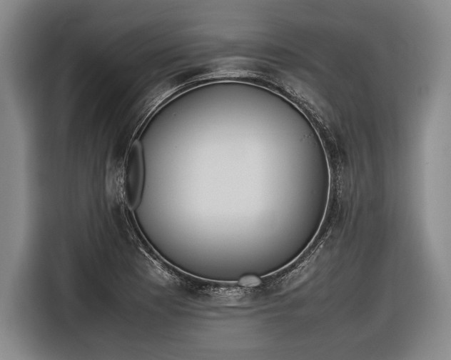 X0000116601177200912181140