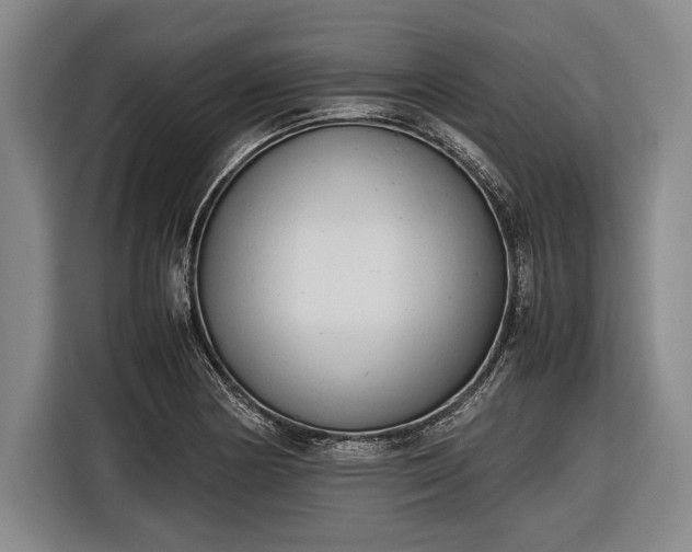 X0000116601178200912181140