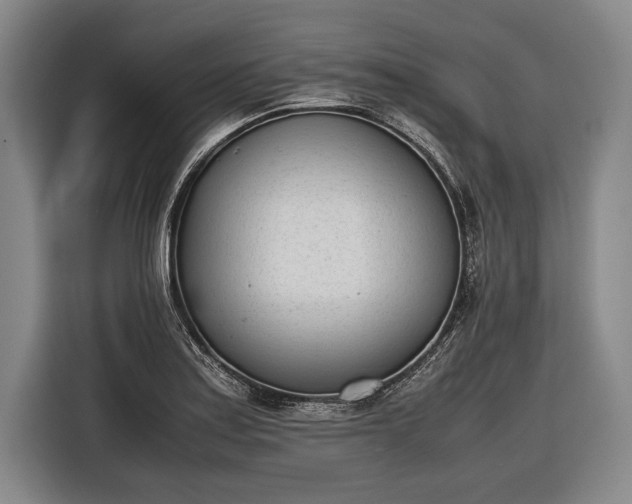 X0000116601179200912181140