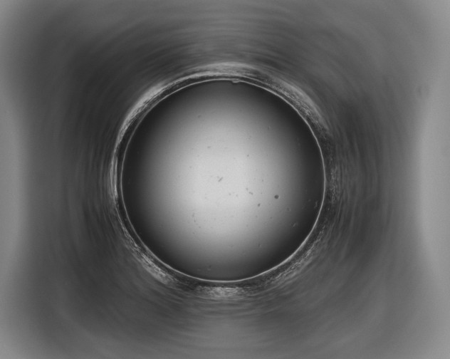 X0000116601180200912181140