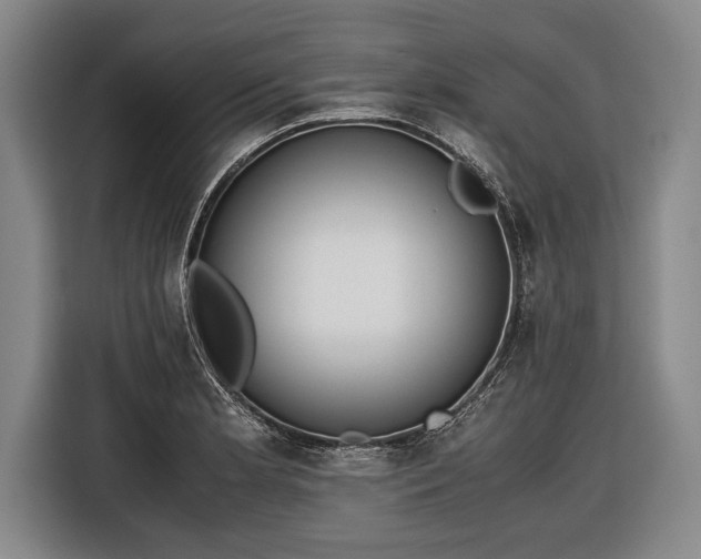 X0000116601181200912181140