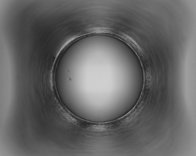 X0000116601182200912181140