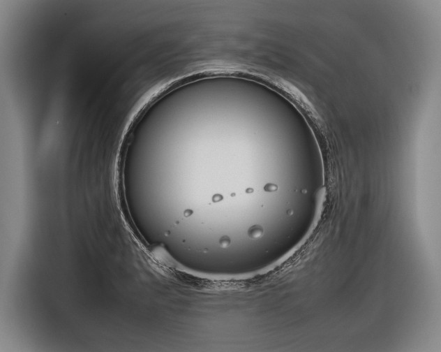 X0000116601183200912181140