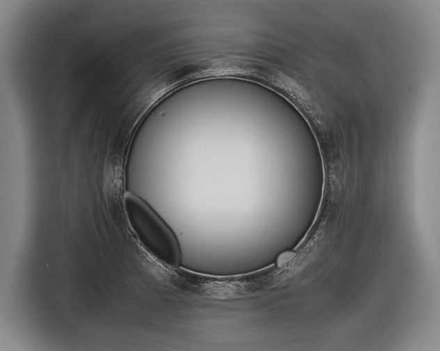 X0000116601185200912181140