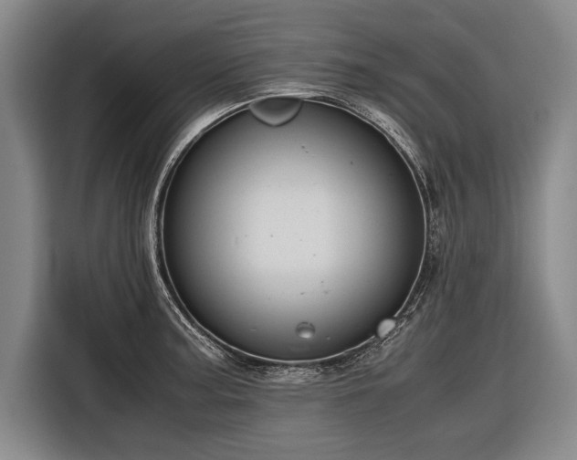 X0000116601187200912181140
