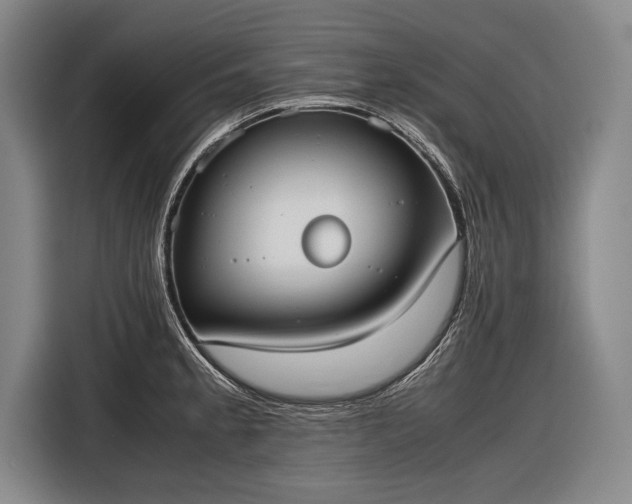 X0000116601189200912181140