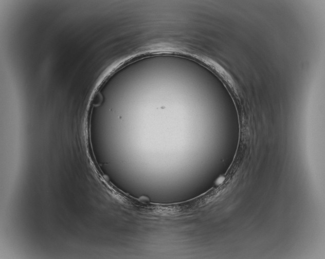X0000116601191200912181140
