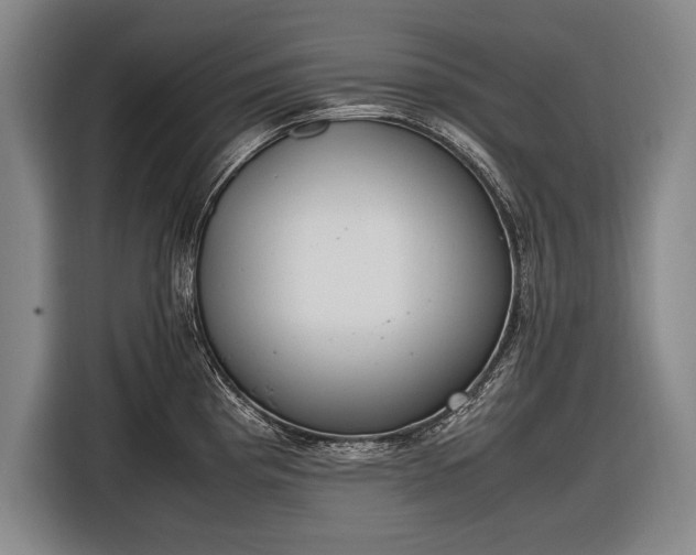 X0000116601193200912181140