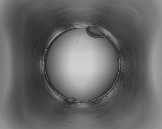 X0000116601194200912181140