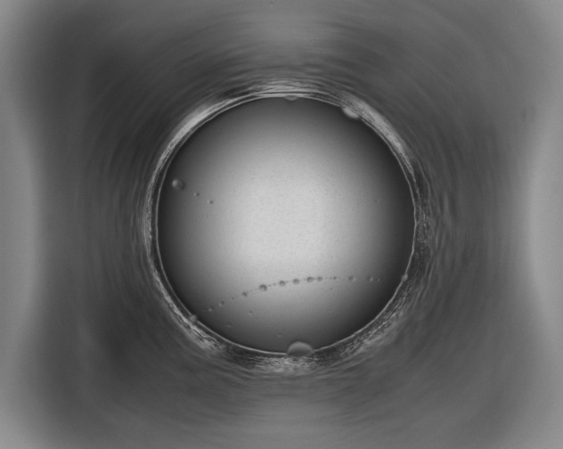 X0000116601195200912181140