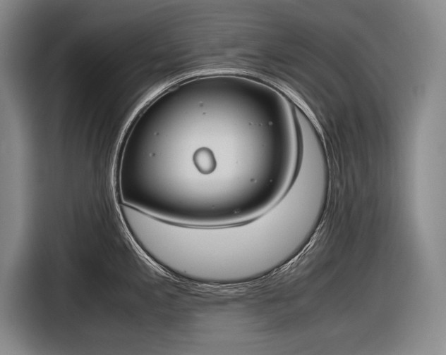 X0000116601197200912181140