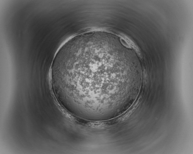 X0000116601198200912181140