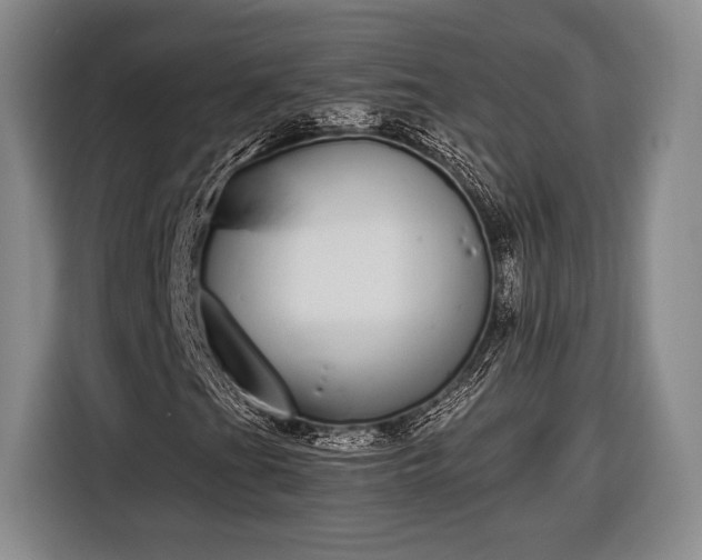 X0000116601201200912181139