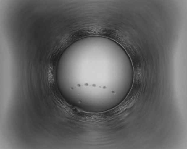 X0000116601202200912181139