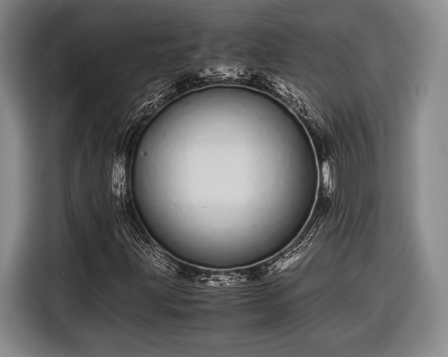 X0000116601203200912181139