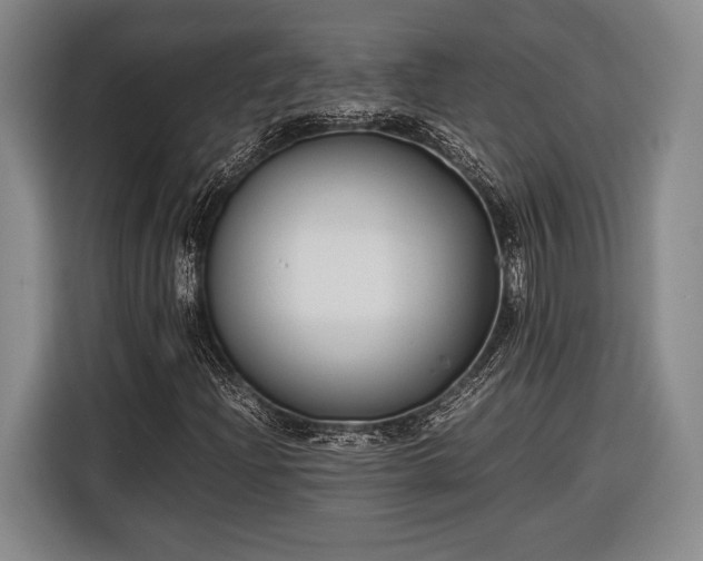 X0000116601204200912181139
