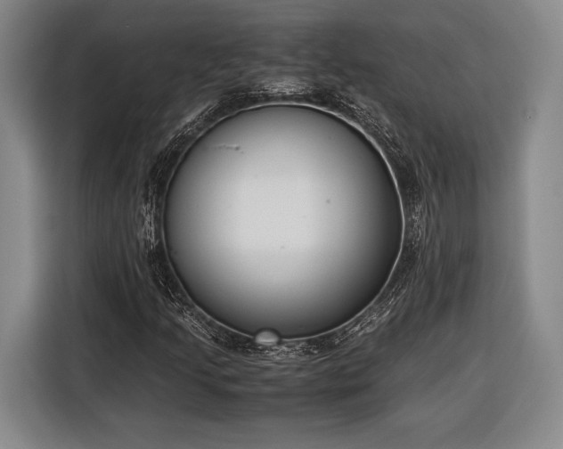 X0000116601205200912181139
