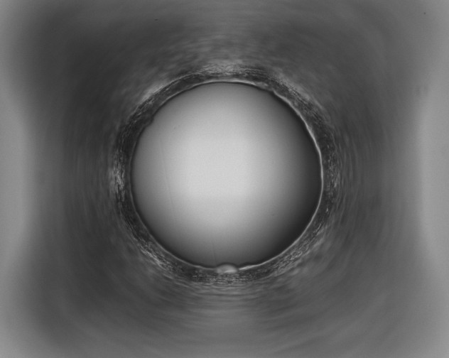 X0000116601206200912181139
