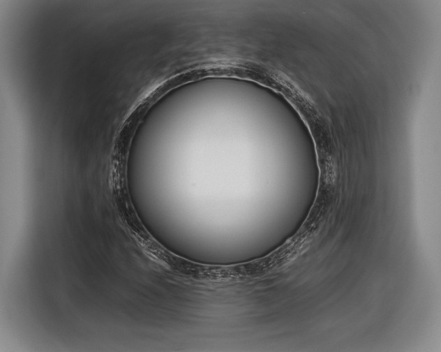 X0000116601208200912181139