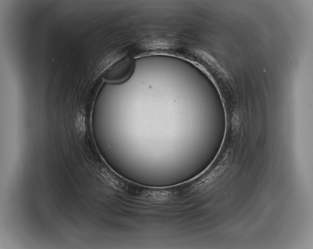 X0000116601209200912181139