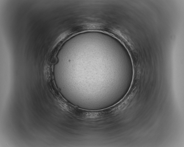 X0000116601211200912181139