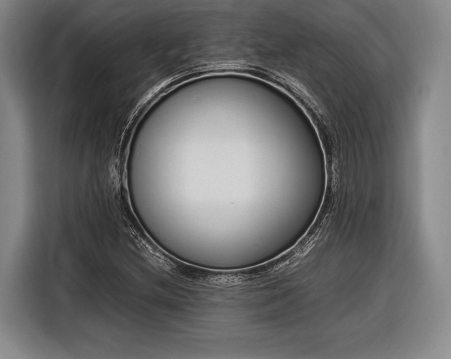 X0000116601212200912181139