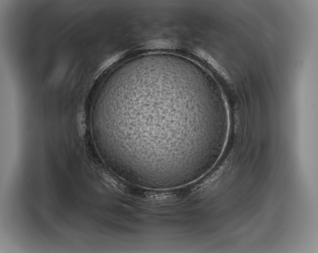 X0000116601213200912181139