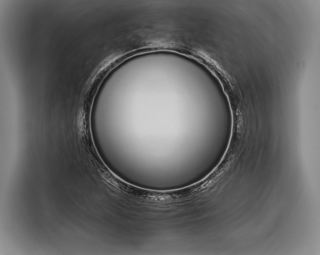 X0000116601215200912181139
