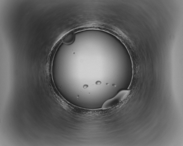 X0000116601216200912181139