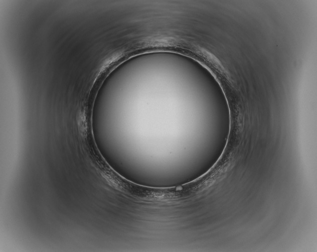 X0000116601218200912181139