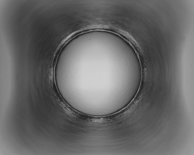 X0000116601220200912181139