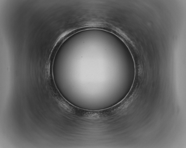 X0000116601222200912181139
