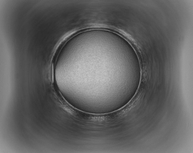 X0000116601223200912181139