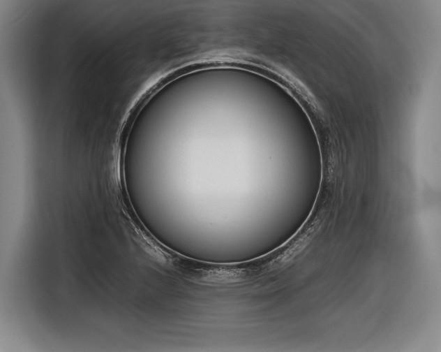 X0000116601224200912181139