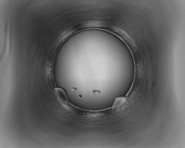 X0000116601225200912181139