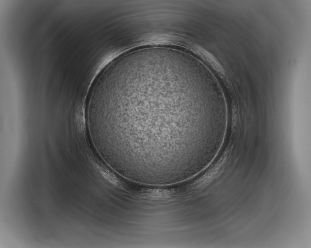 X0000116601226200912181139