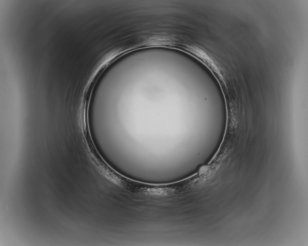 X0000116601227200912181139