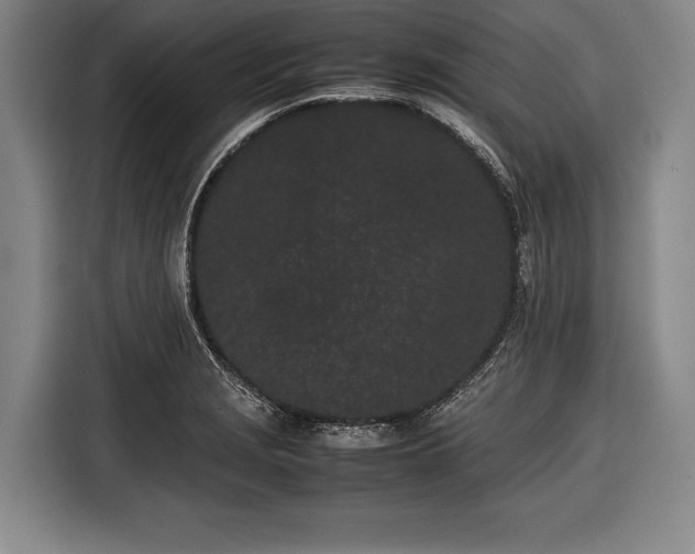 X0000116601229200912181139