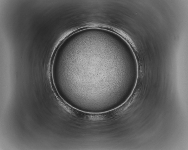 X0000116601231200912181139