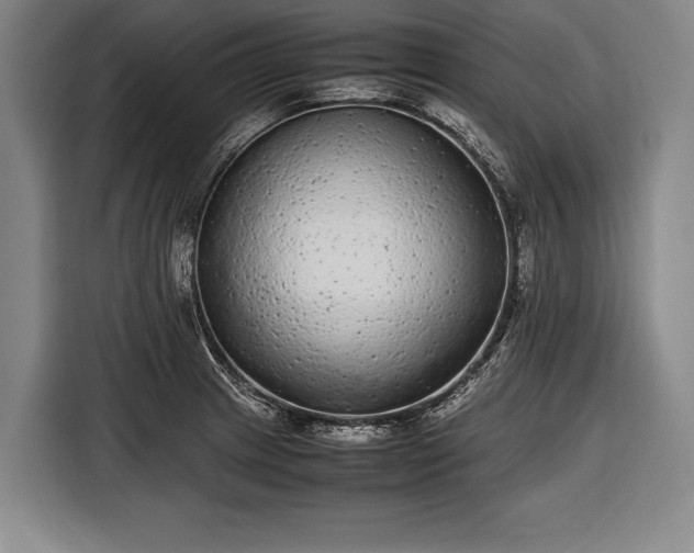 X0000116601233200912181139