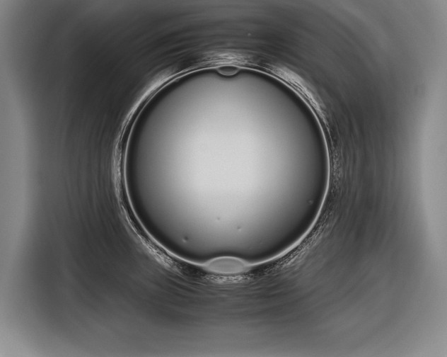 X0000116601235200912181139
