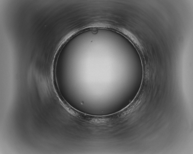 X0000116601237200912181139