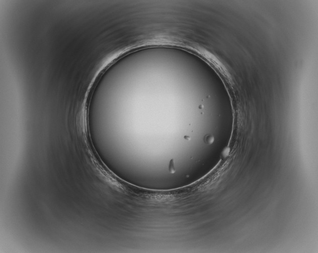 X0000116601238200912181139