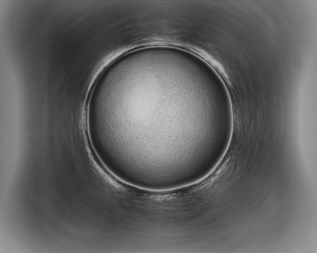 X0000116601239200912181139