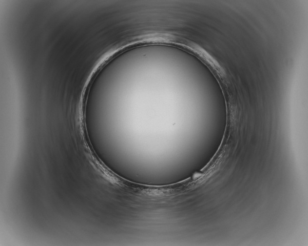 X0000116601240200912181140