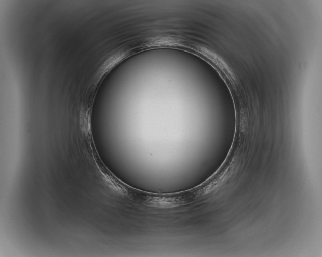 X0000116601241200912181140