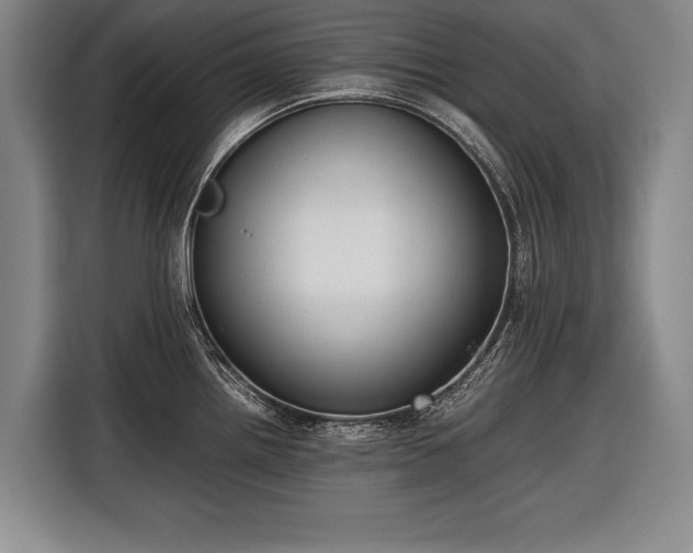 X0000116601242200912181140