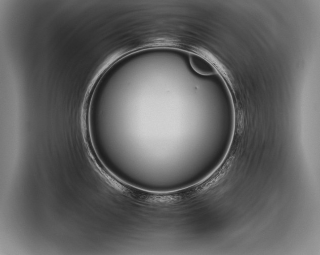 X0000116601243200912181140